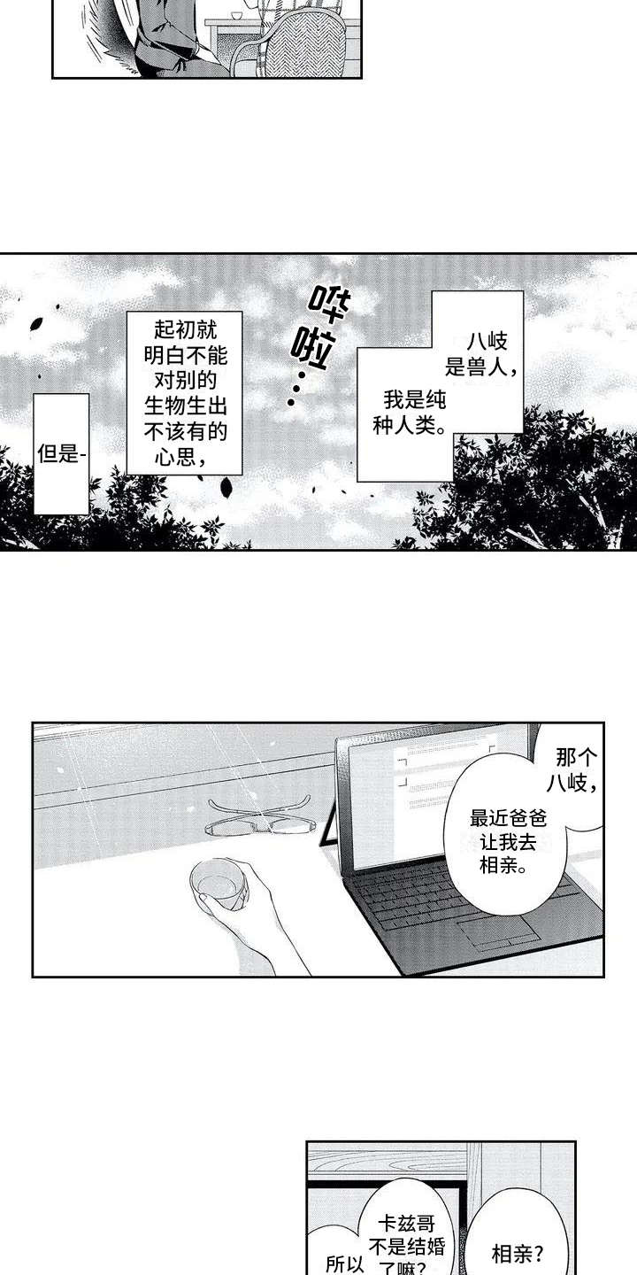 第2章：顺从2