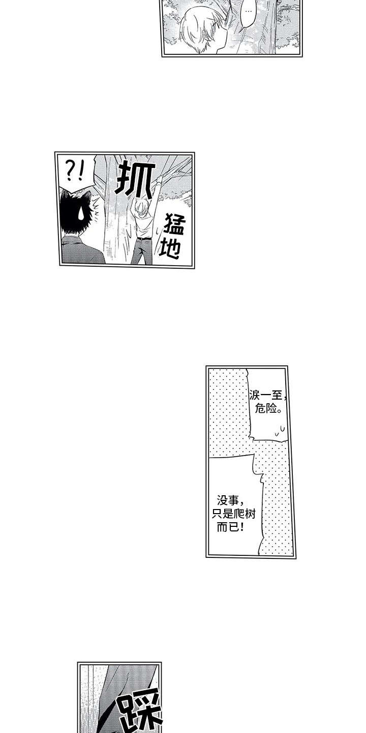 第5章：单纯6