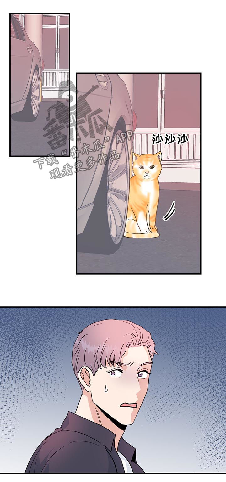 第36章：是错觉吗？17