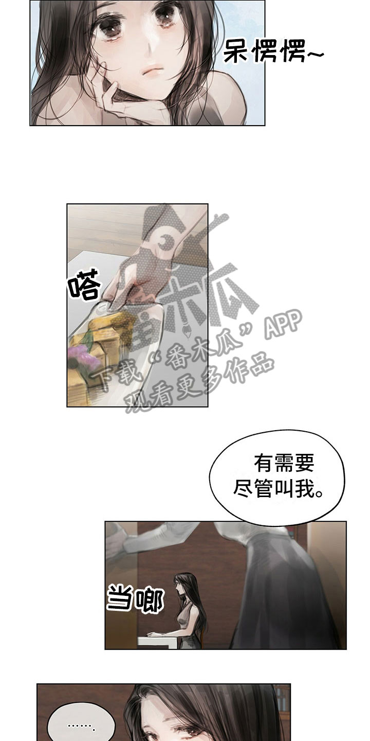 第29章：柔和2