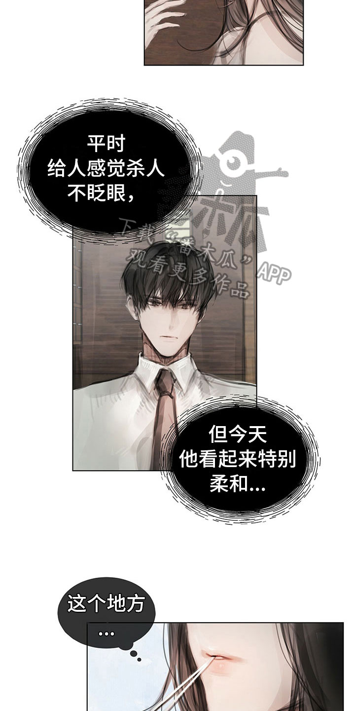 第29章：柔和5