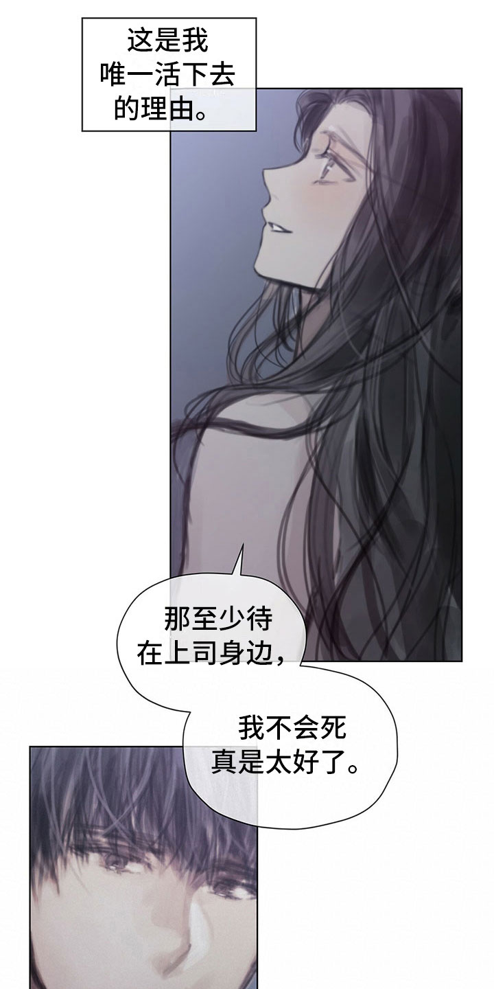 第34章：真心话12