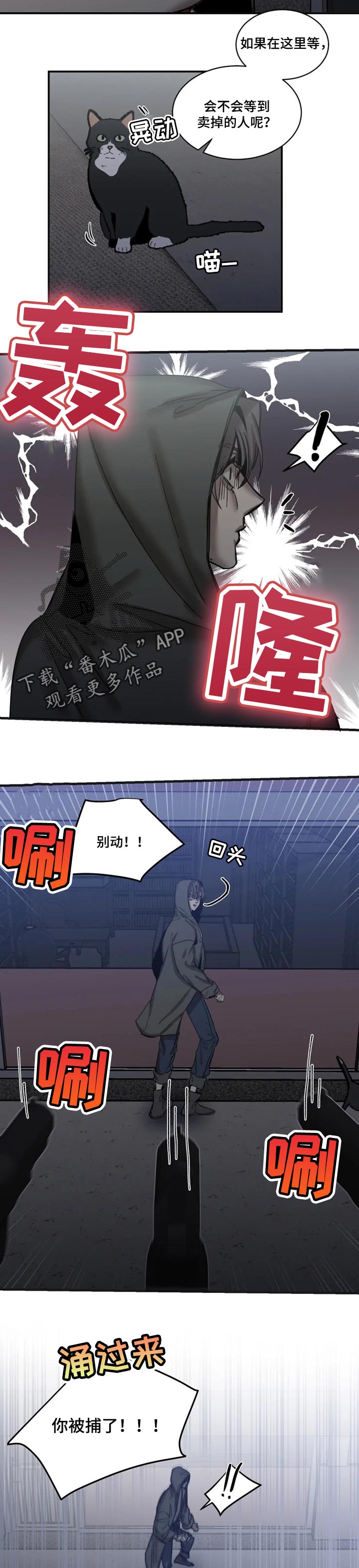 第78章：【第二季】找准时机5