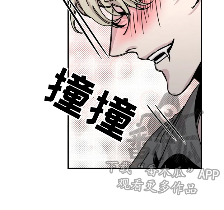 第20章：阻止5