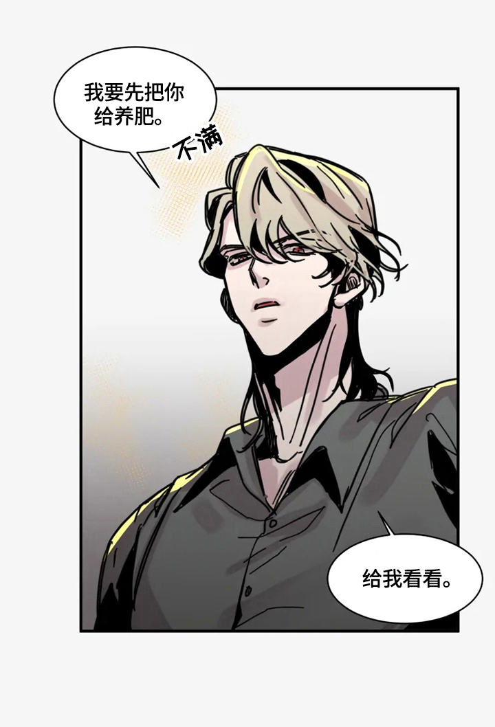 第19章：我喜欢3