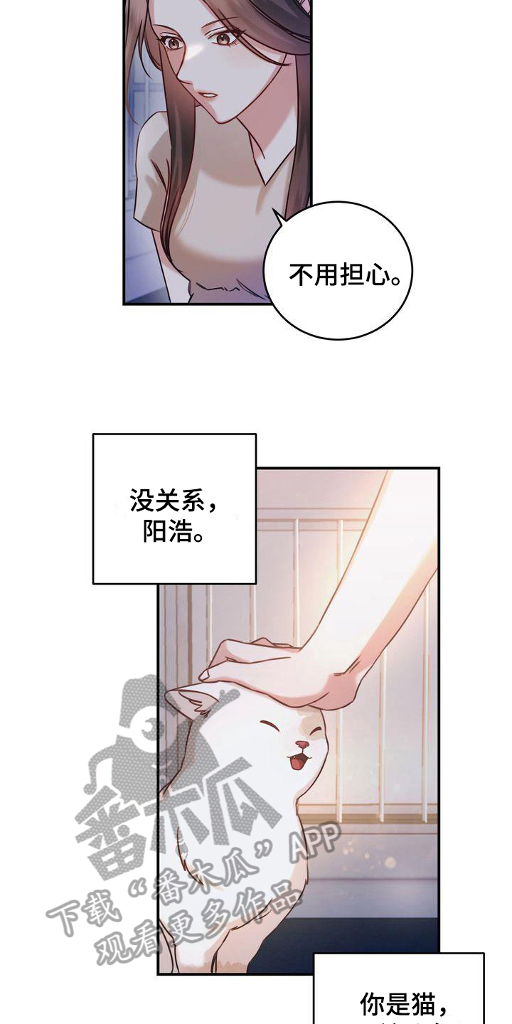 第5章：要求4