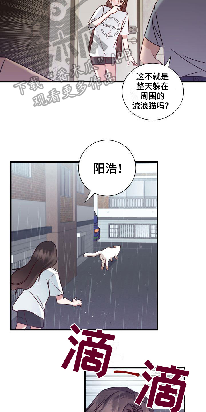 第17章：找猫12