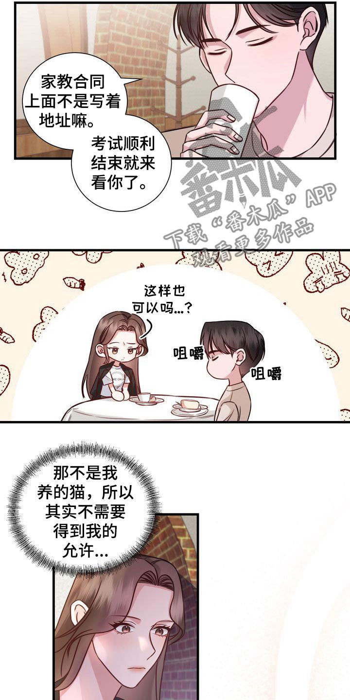 第19章：收留3