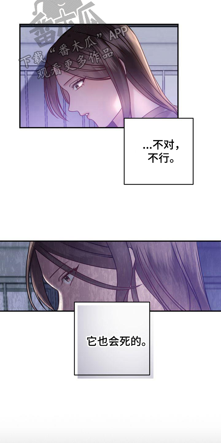 第4章：养猫14