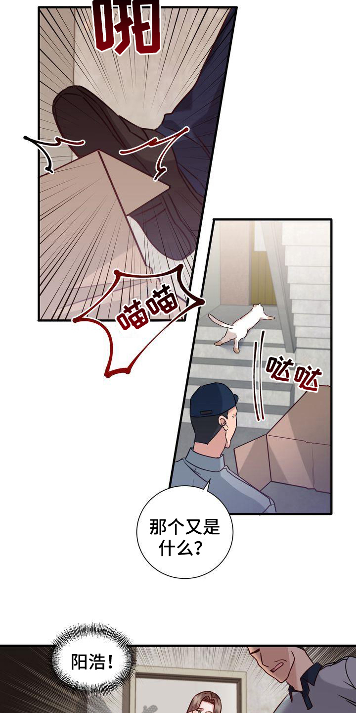 第17章：找猫11