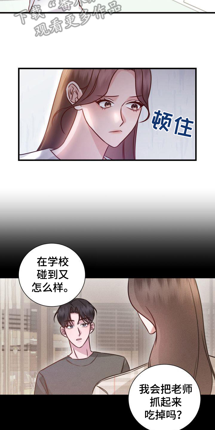 第17章：找猫2