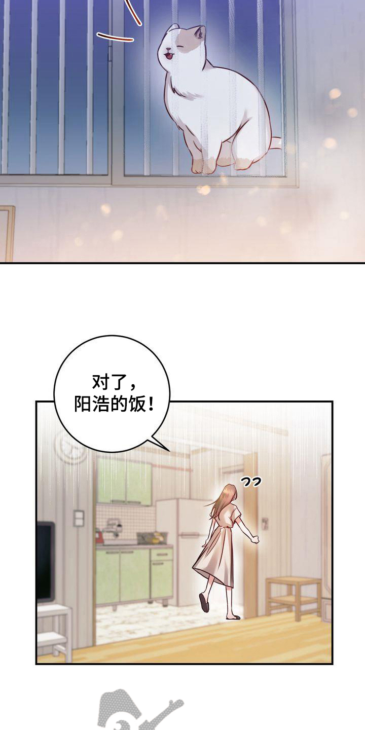 第4章：养猫11