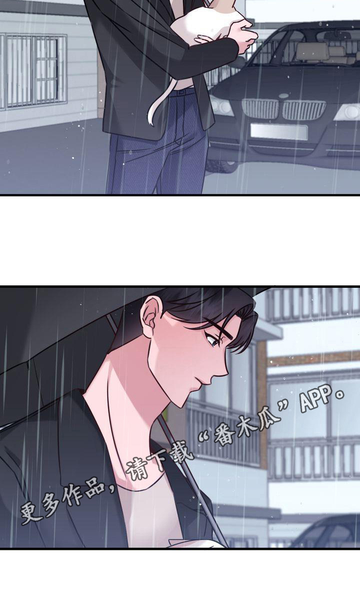 第17章：找猫15