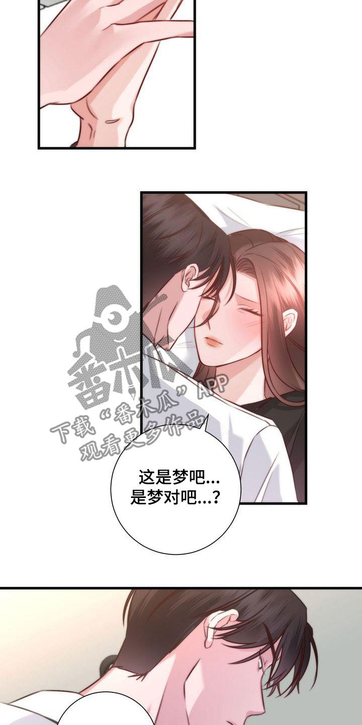 第30章：是梦16