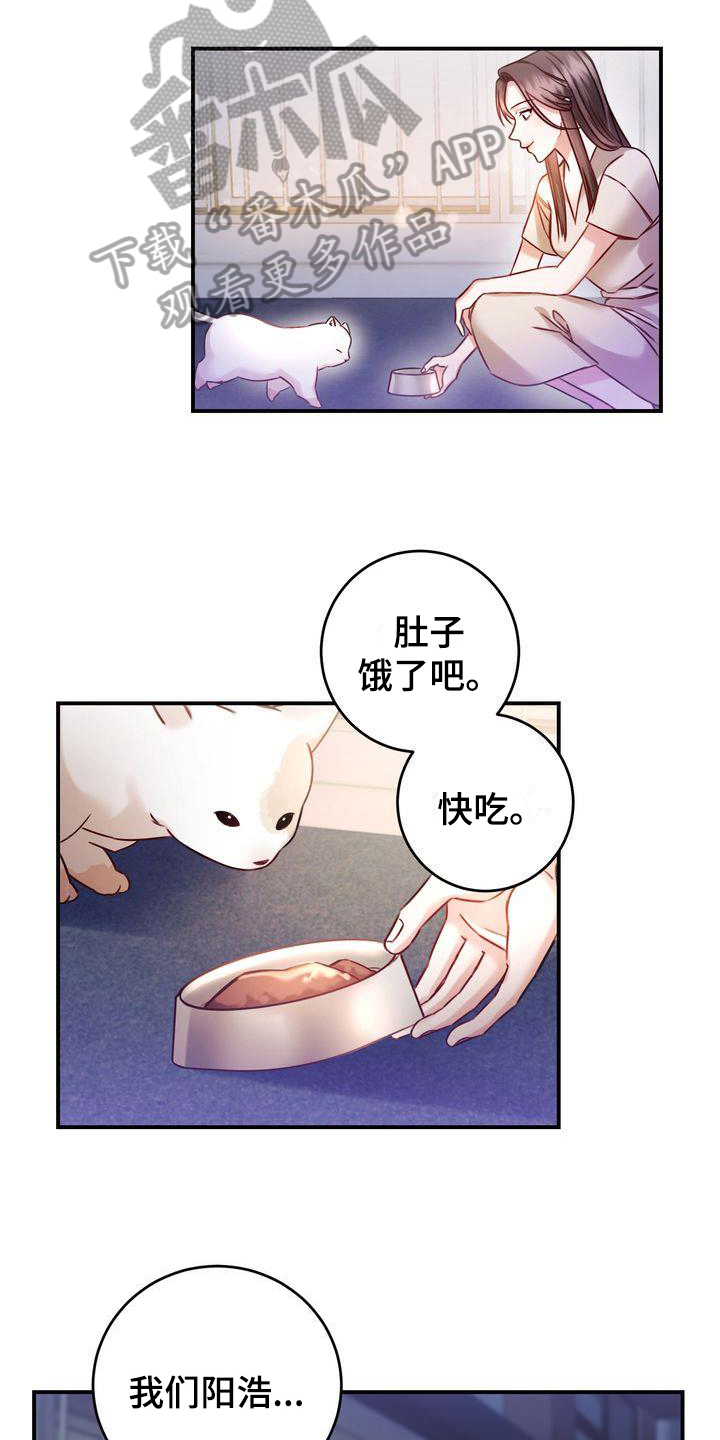 第4章：养猫12