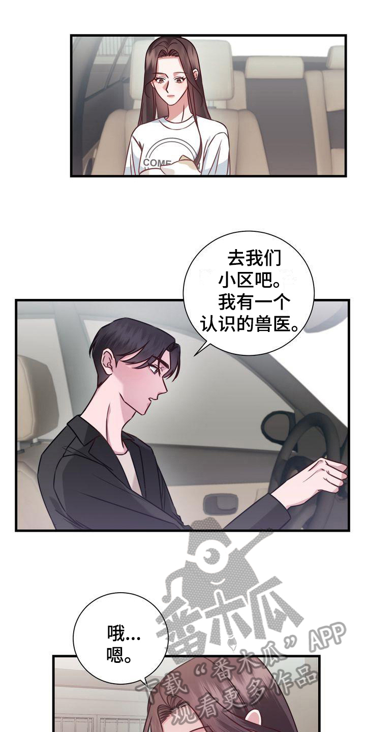 第18章：提议8