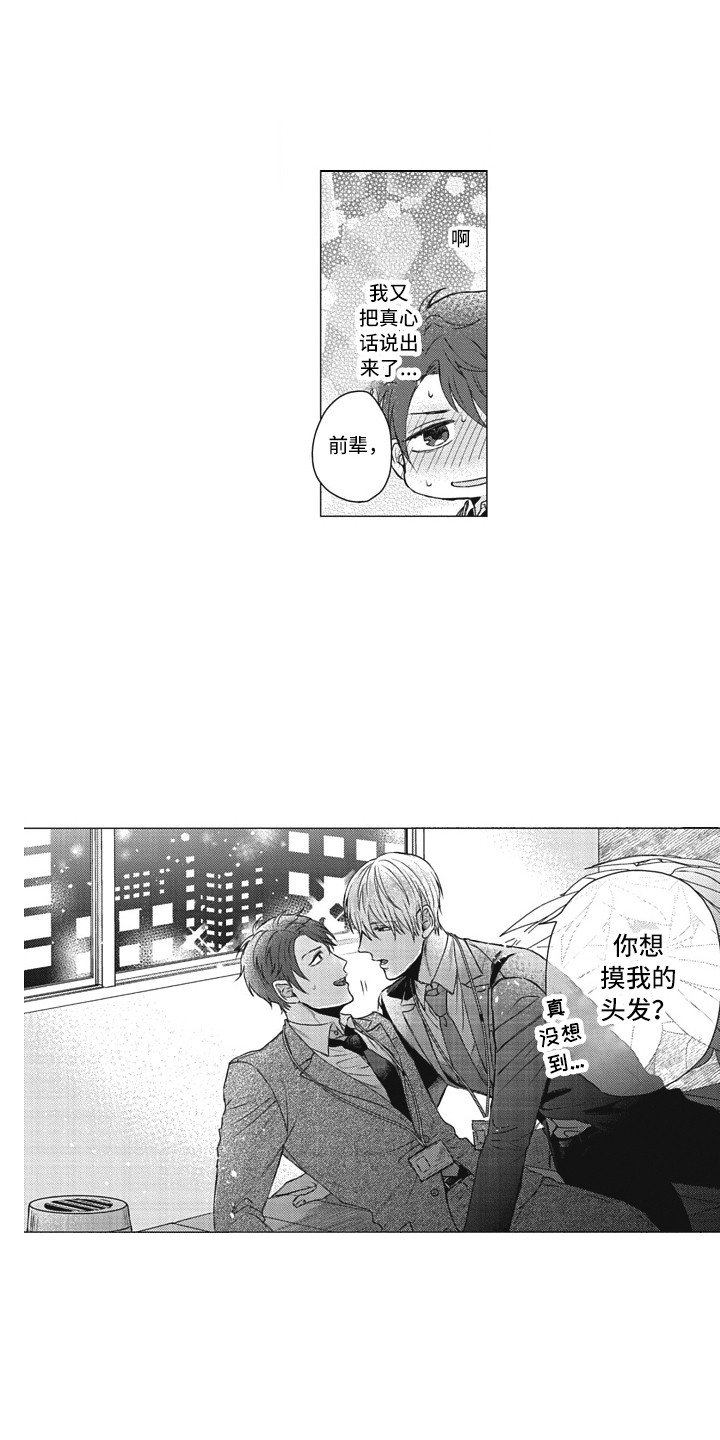 第4章：头发3