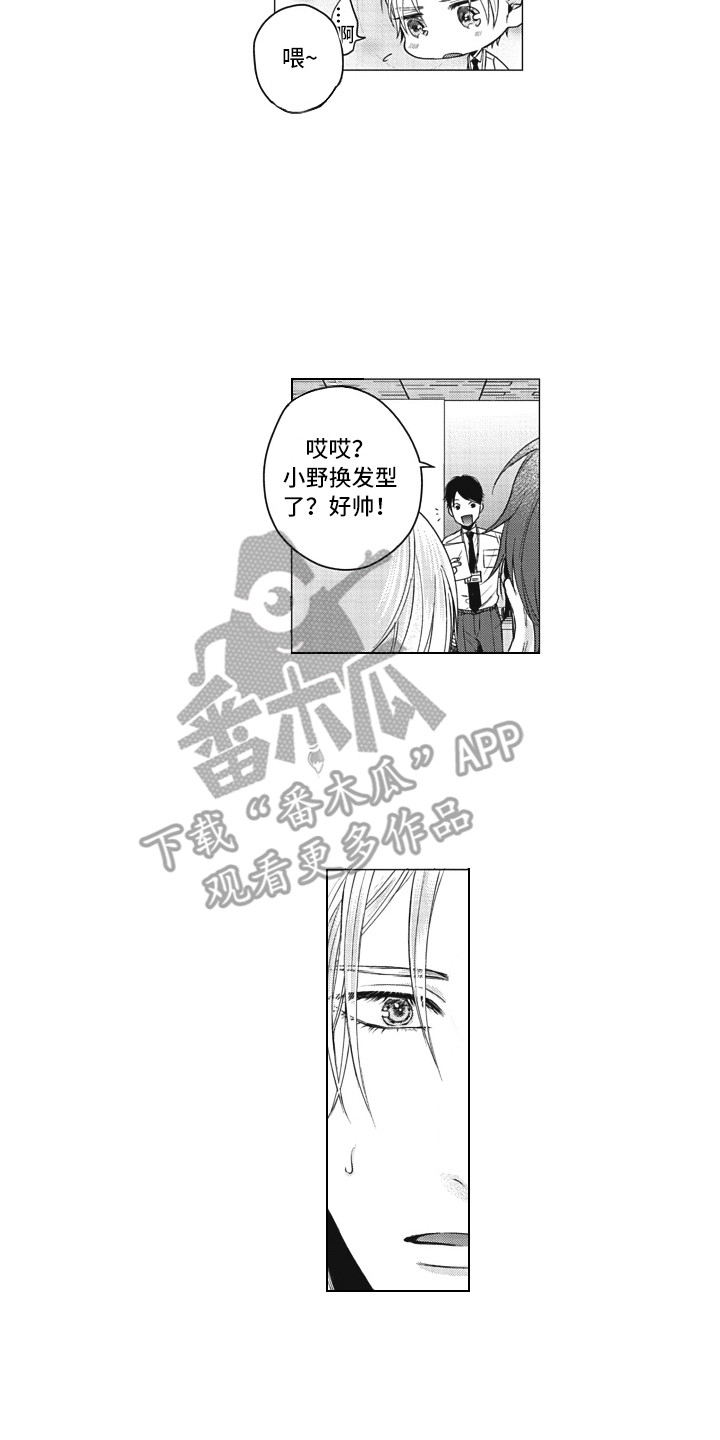 第8章：帮助11