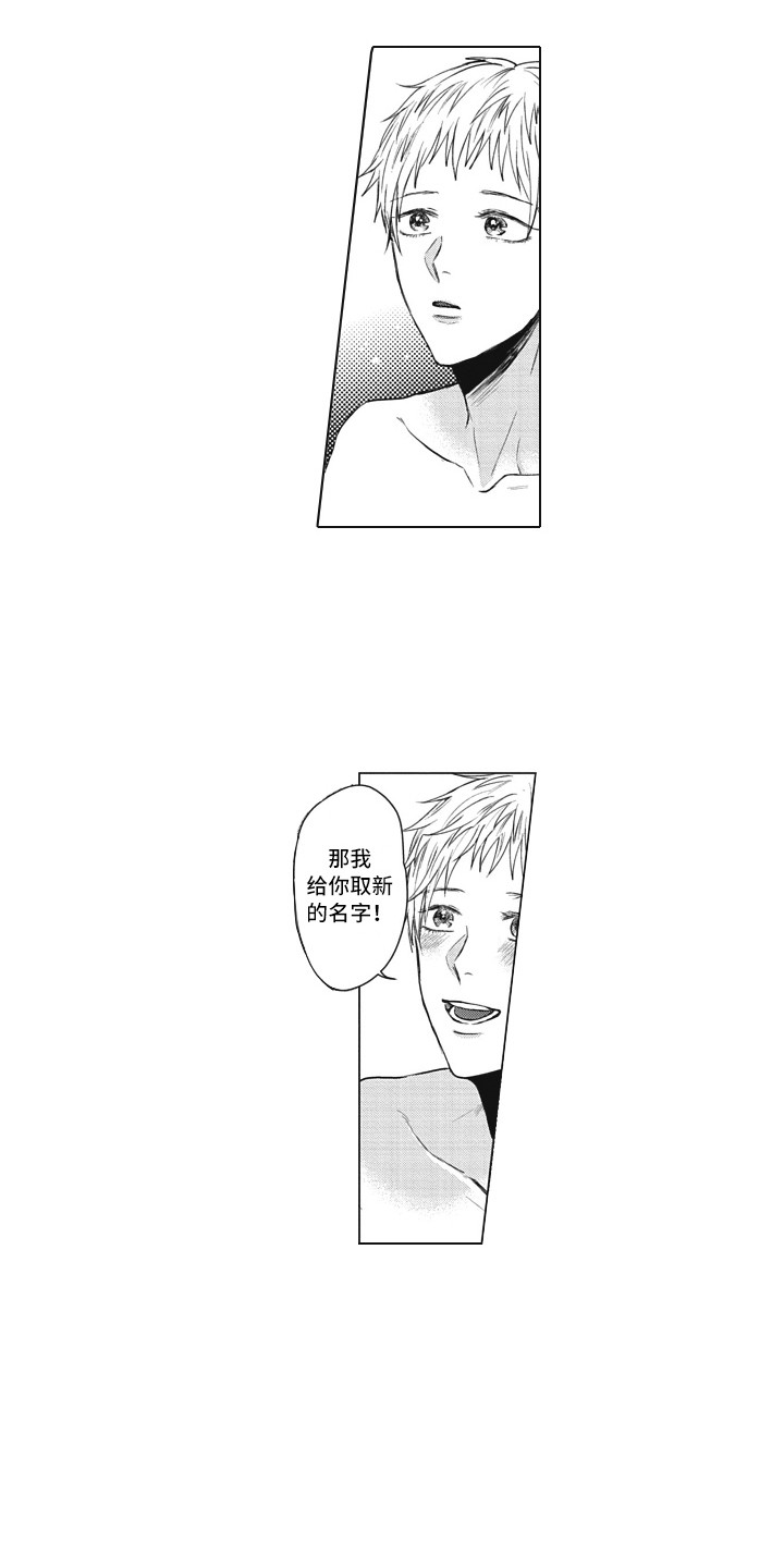第21章：取名4