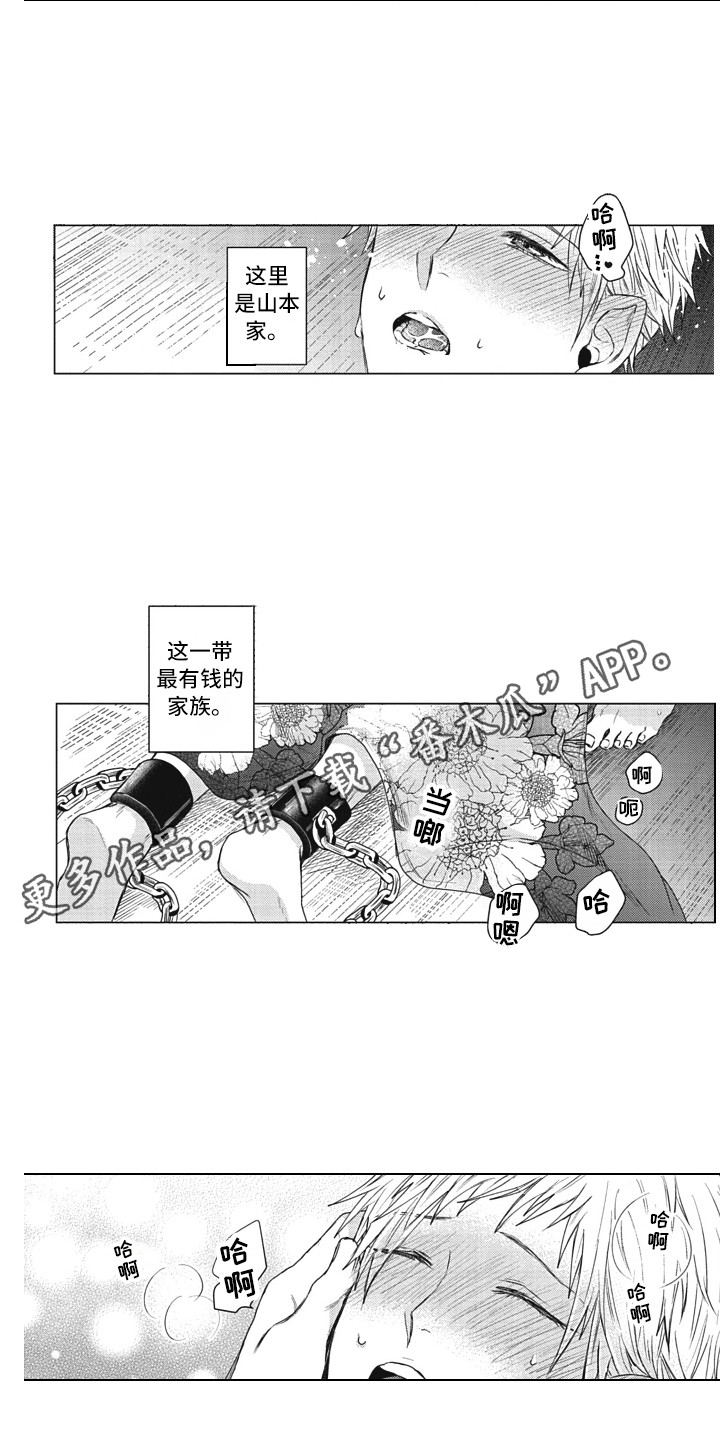 第19章：工具人3
