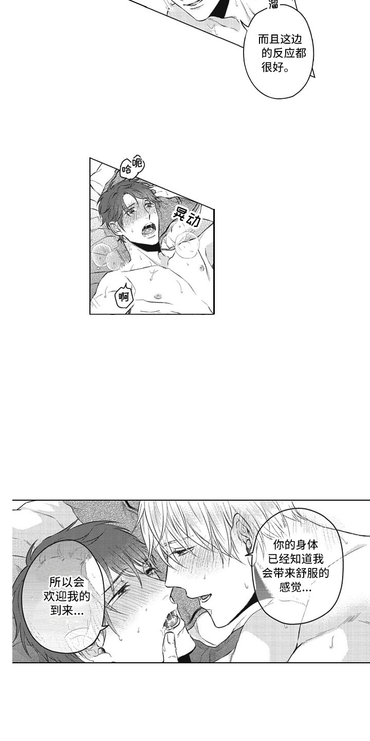 第17章：实际行动11