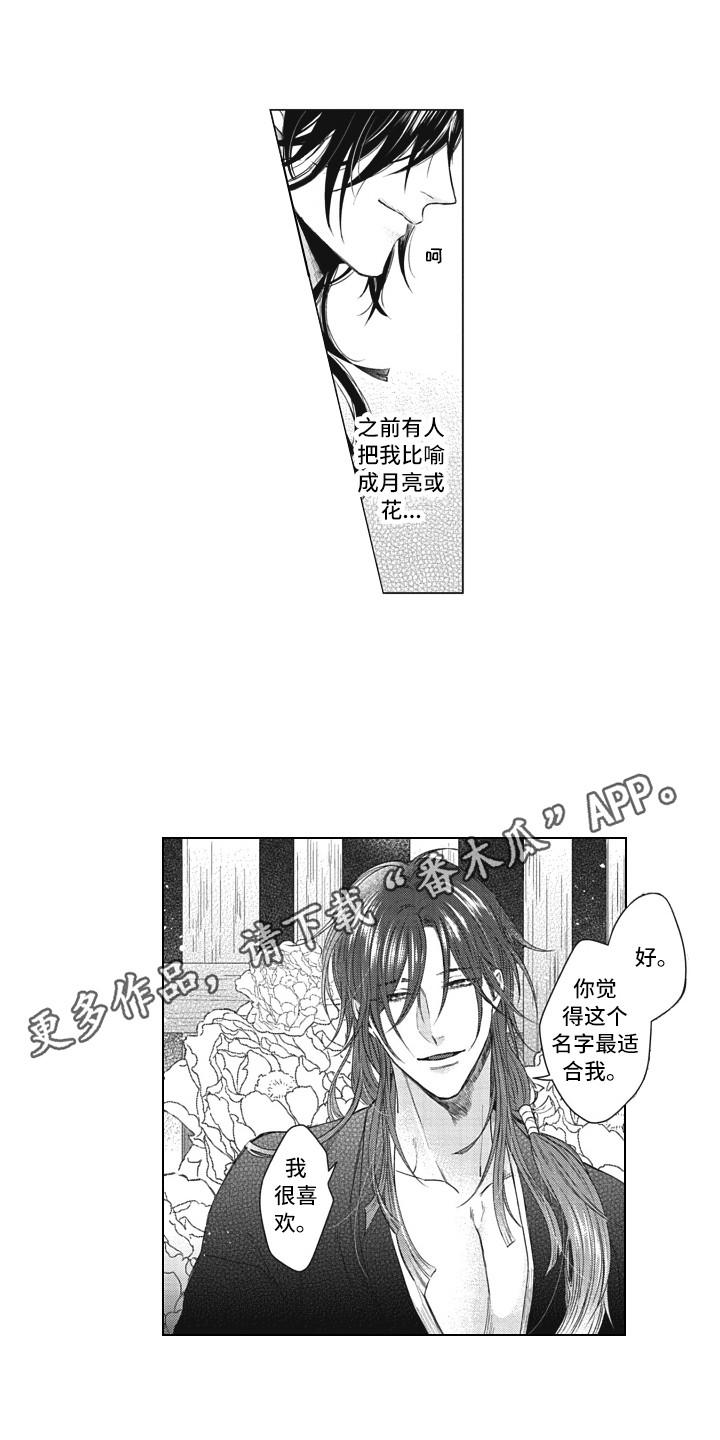 第21章：取名7