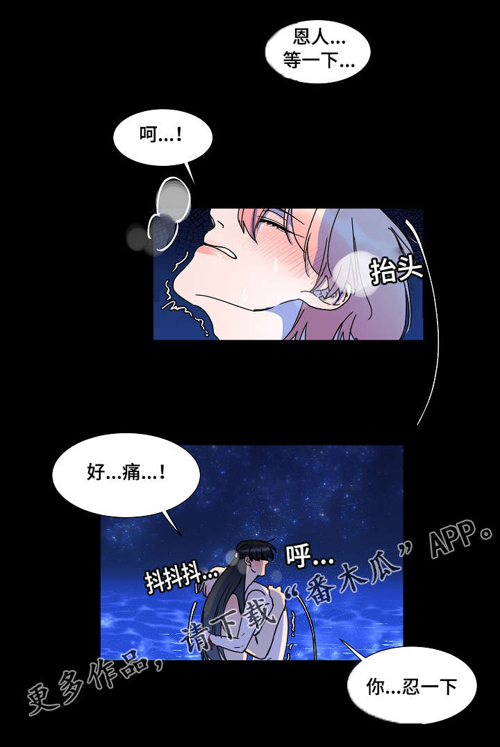第31章：我很喜欢你6