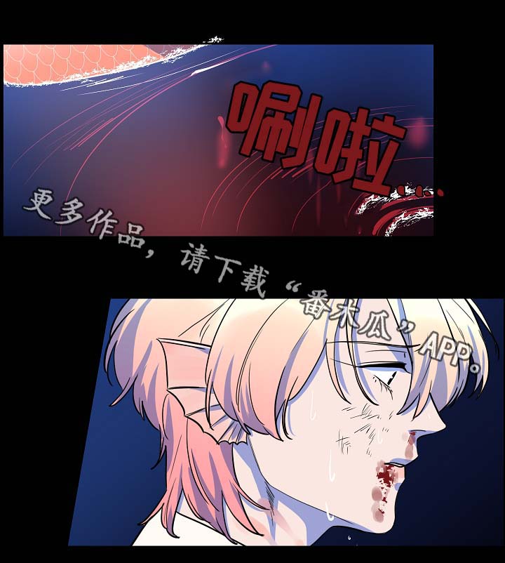 第53章：报恩3