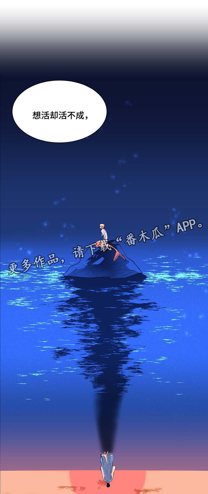 第58章：悲剧11