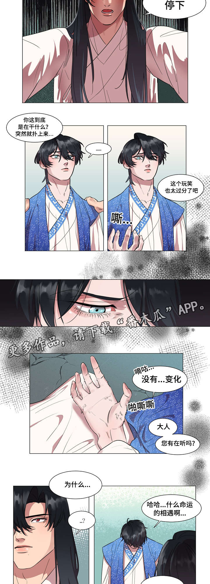 第5章：你能做什么4