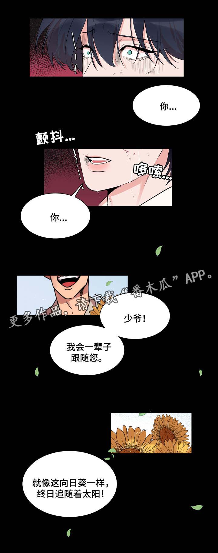 第58章：悲剧0