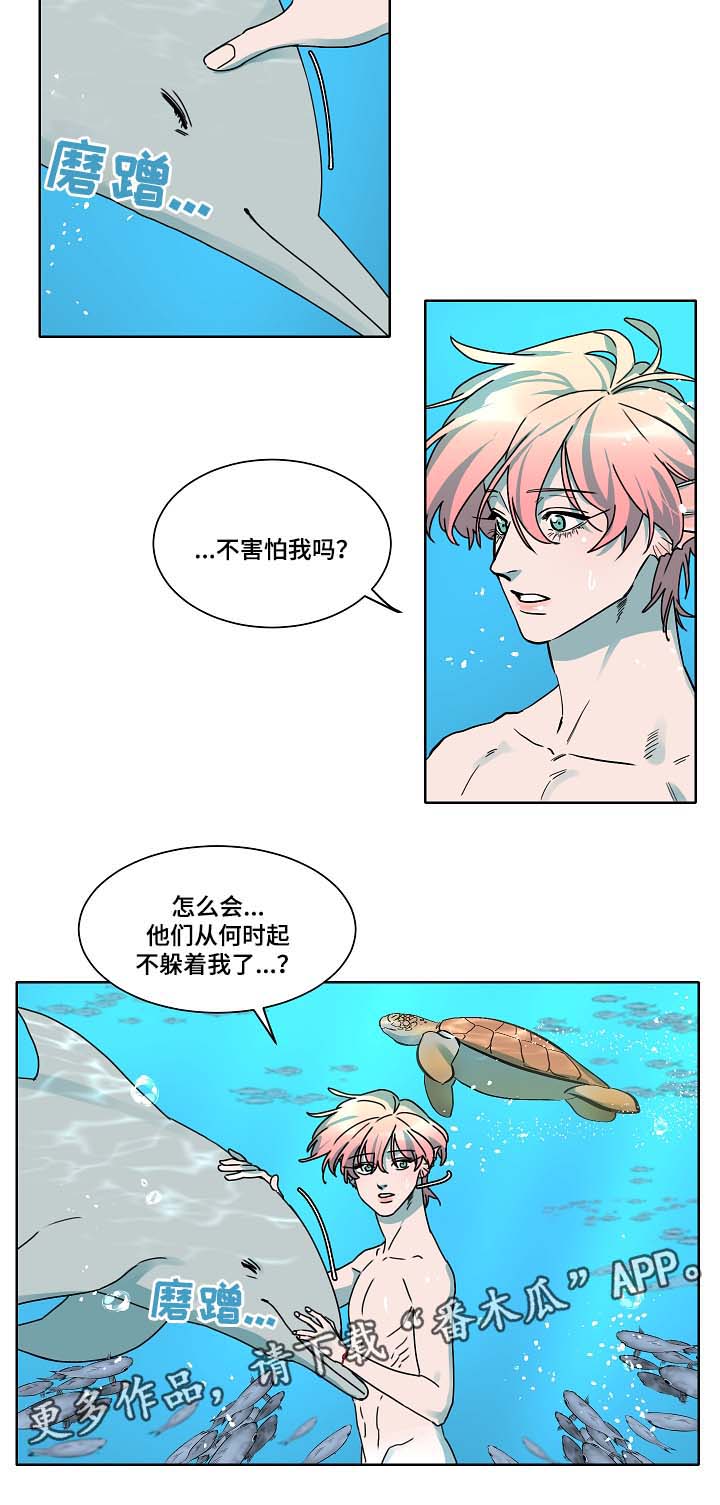 第38章：是人鱼吗6
