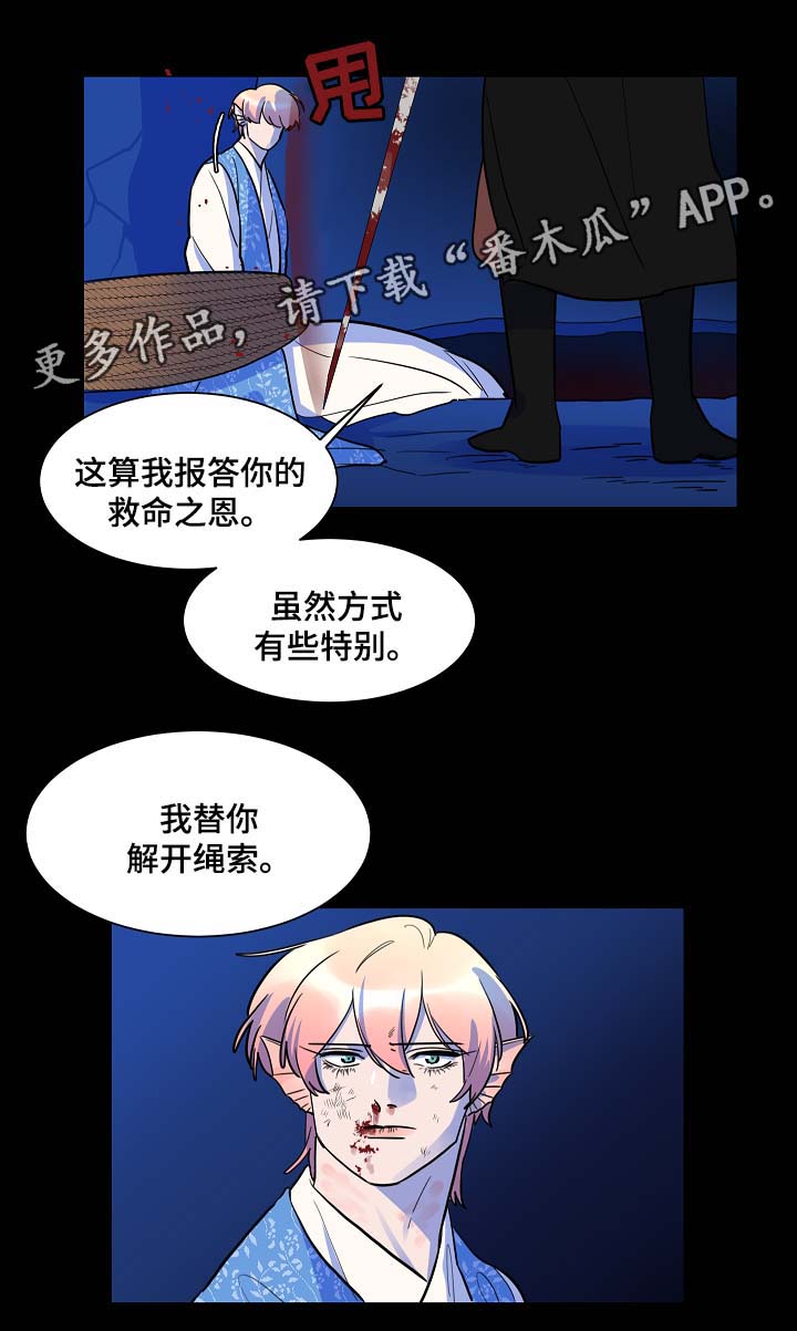 第53章：报恩4