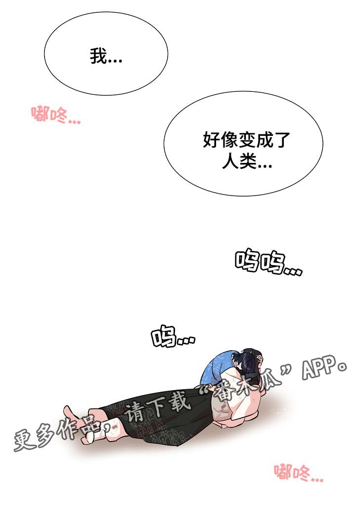第61章：变回人类3