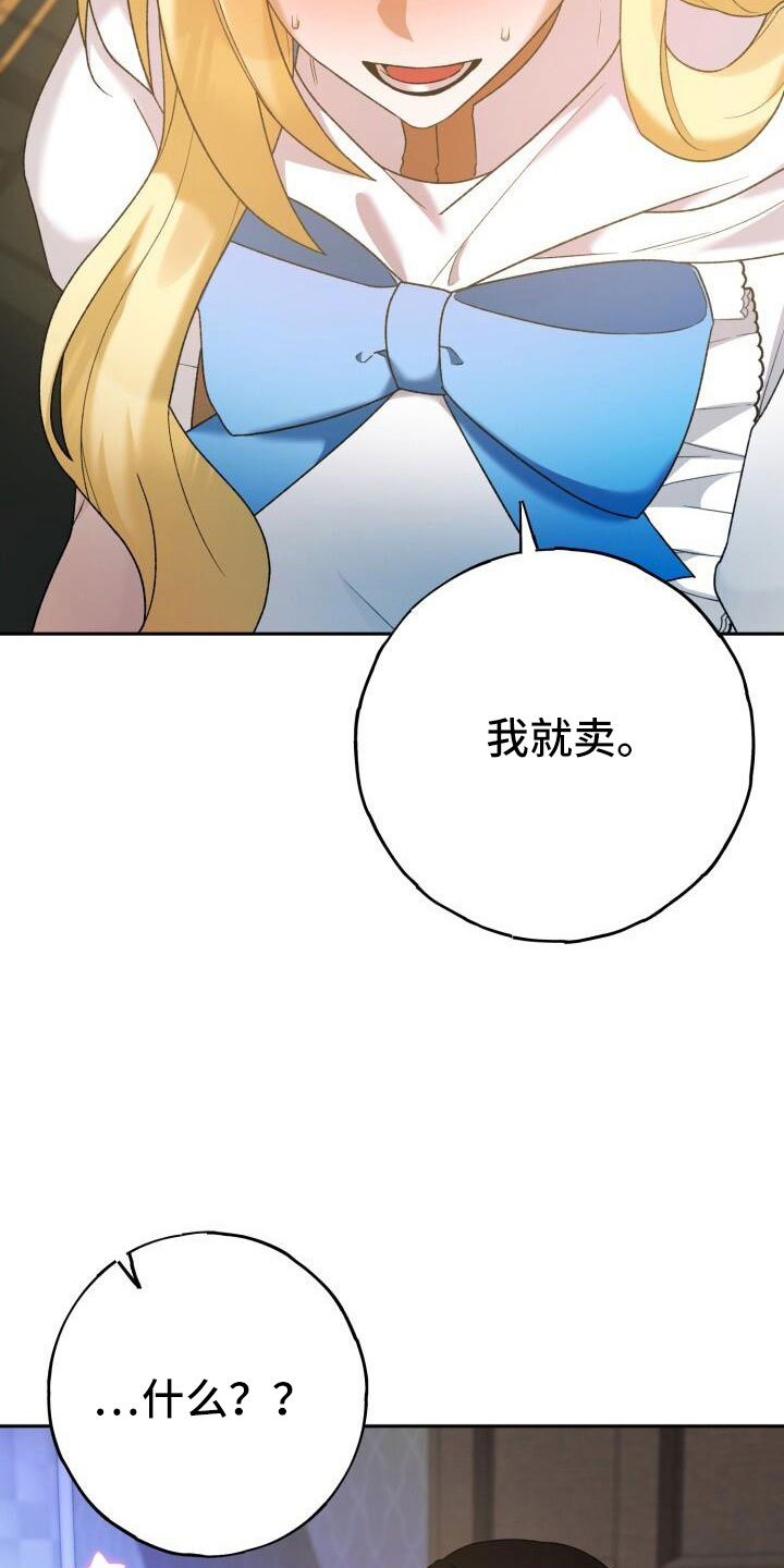 第39章：高价28