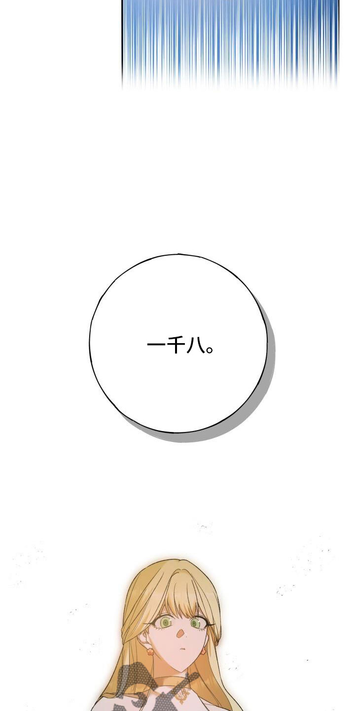 第39章：高价26
