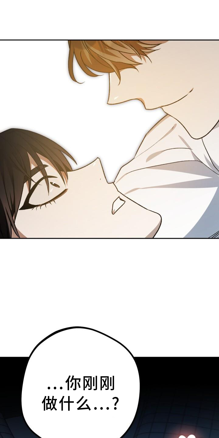 第77章：理论12