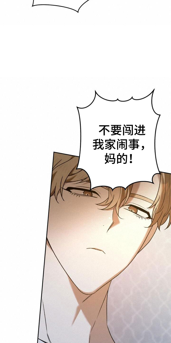 第46章：不能中计13