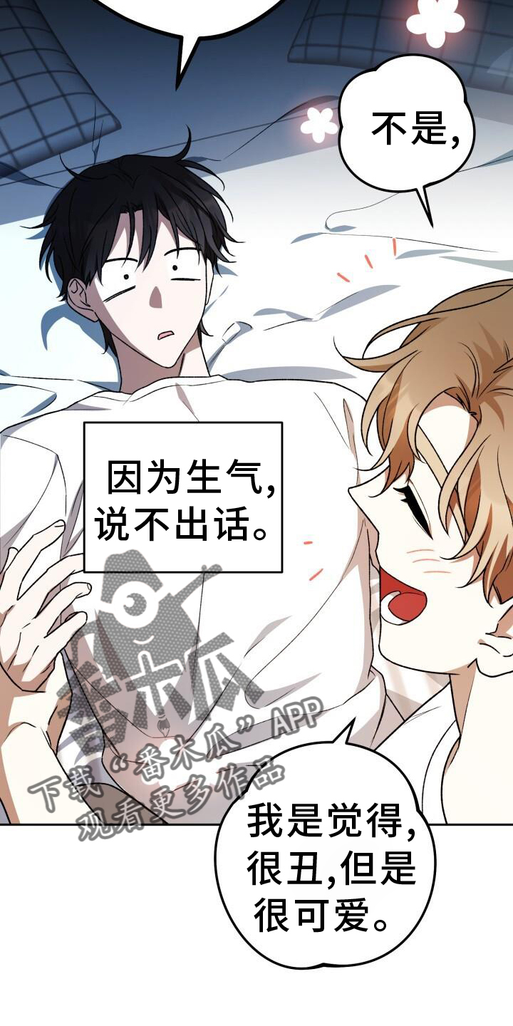第77章：理论13