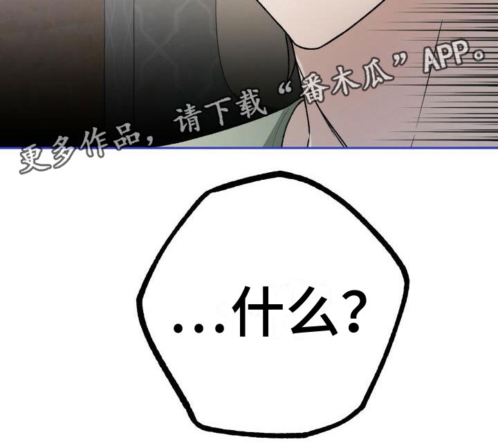 第29章：结婚23