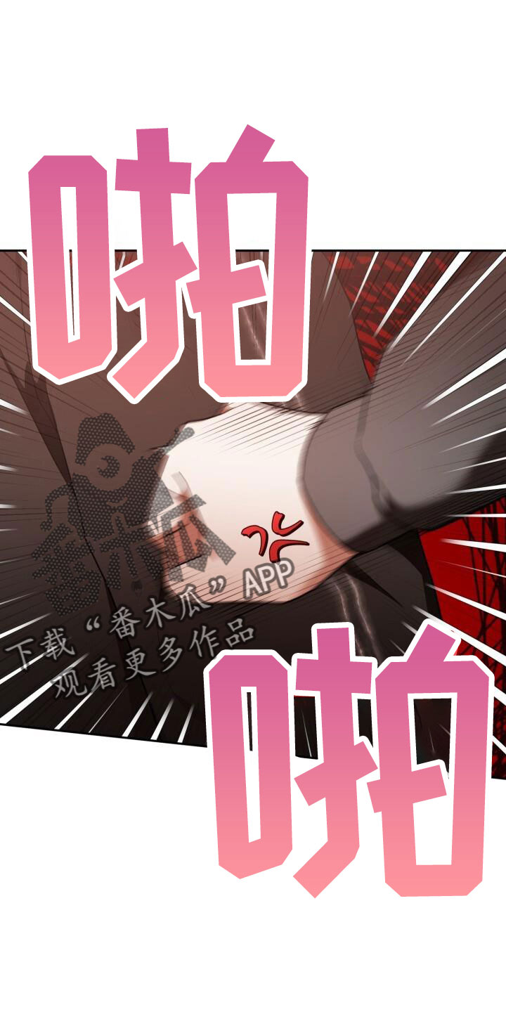 第62章：车奴0
