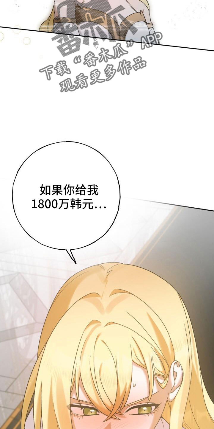 第39章：高价27