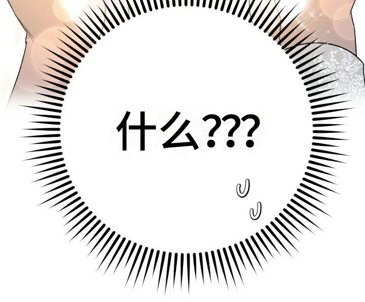 第17章：礼物20