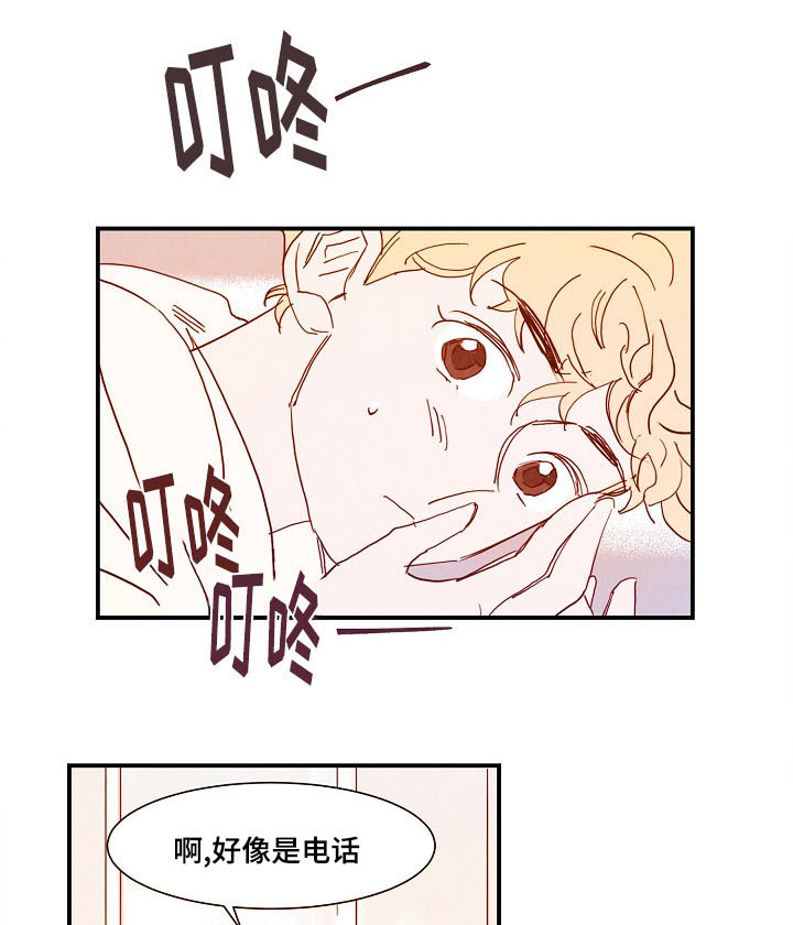 第18章：真实感6