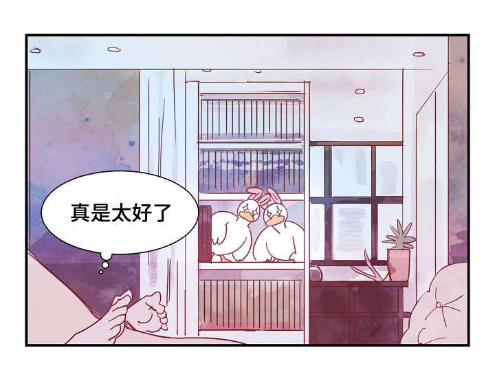 第31章：清醒4