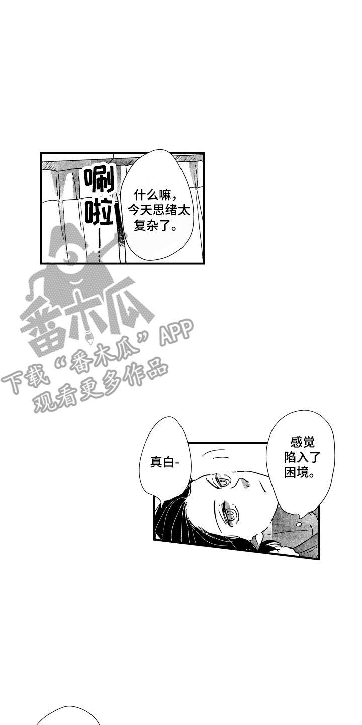第19章：在这过夜12