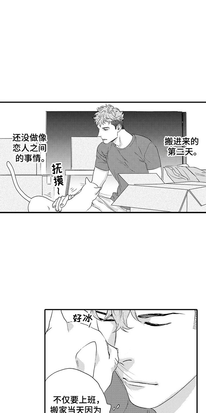 第3章：机会13