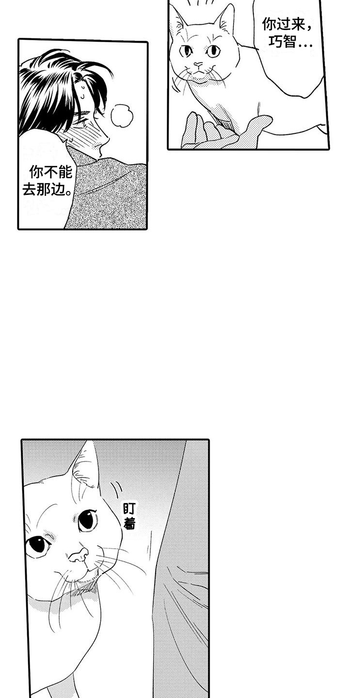 第19章：入室抢劫11