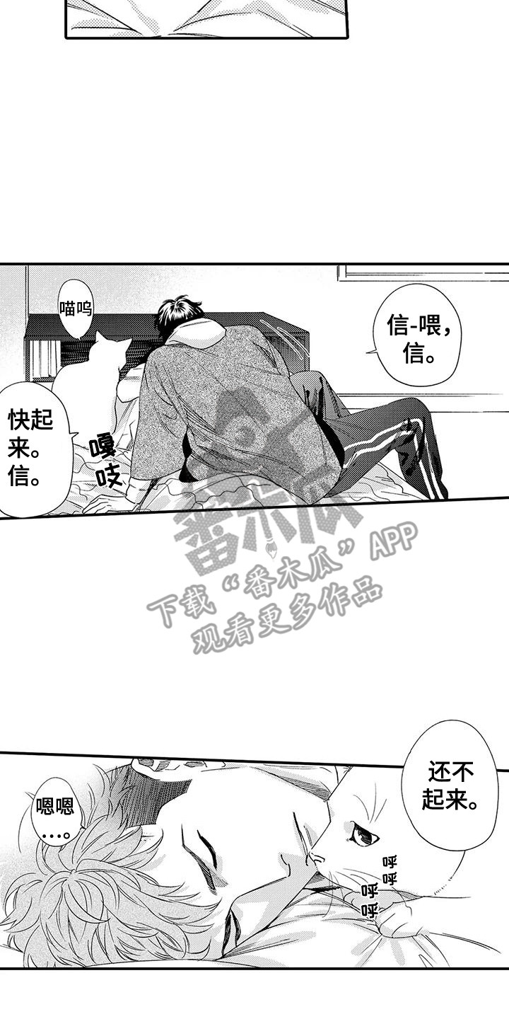 第21章：修理房屋16