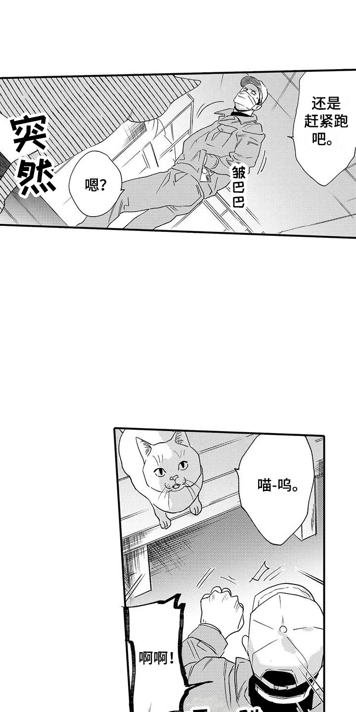 第19章：入室抢劫9